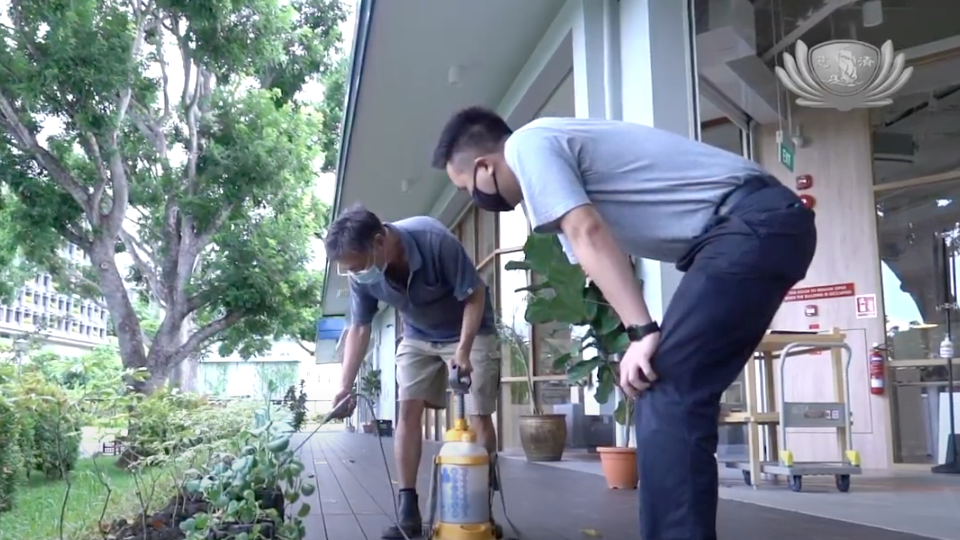 The Concept and Value of Urban Farming in Singapore